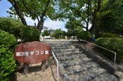 タコ公園
