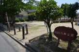 公園 汽車公園