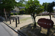 汽車公園