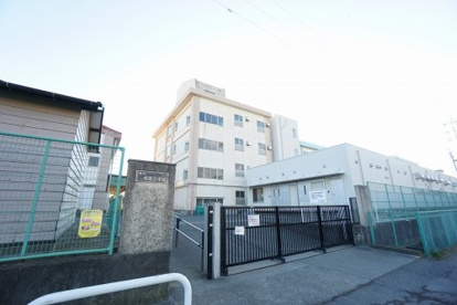 茅ヶ崎市立円蔵小学校の画像1