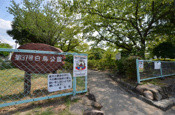 白鳥公園