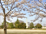 桜島公園