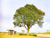 鈴鹿川河川緑地公園