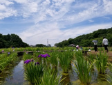 北山公園