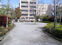 徳持ポニー公園