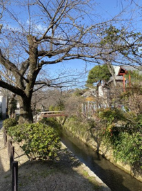 哲学の道の画像2
