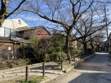 哲学の道の画像3