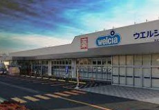 ウエルシア本庄児玉南店の画像1