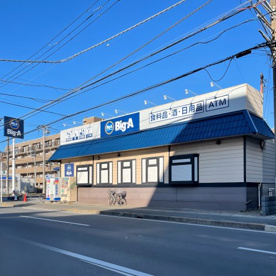 ビッグ・エー市川伊勢宿店の画像1