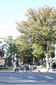 氷川緑地の画像1