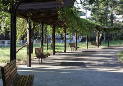 富岡八幡公園の画像1