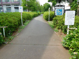 栄緑地