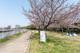 旧猪名川緑地の画像