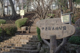中原雑木林公園