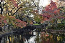 馬橋公園 四季の広場