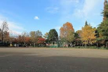 杉並区立馬橋公園 運動広場
