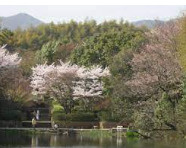 新林池公園