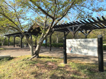 海のみえる岸岡山緑地