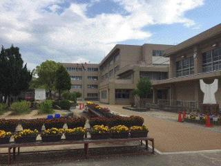 宇治市立大開小学校の画像1