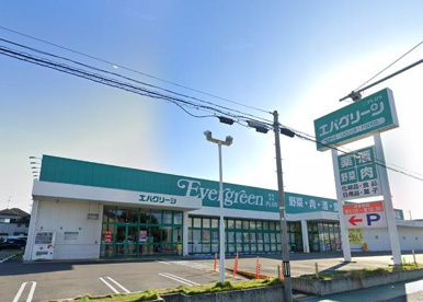 エバグリーンプラス和泉芦部店の画像1