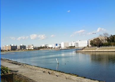 見晴らしばし公園の画像1
