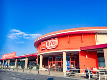 ザ・ビッグ エクストラ 津河芸店