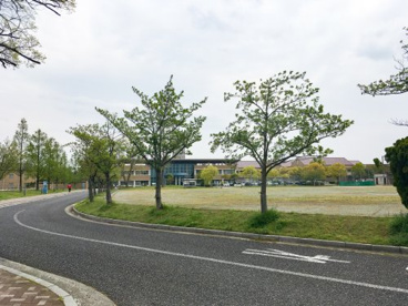 三重県立こころの医療センターの画像1