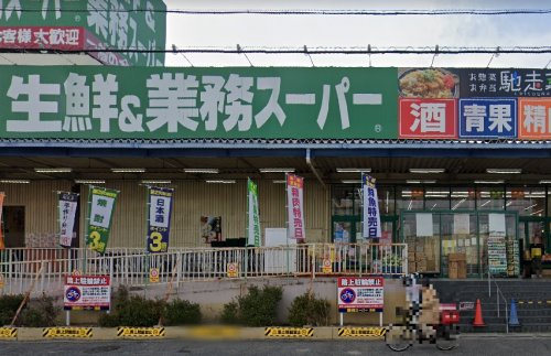 の画像