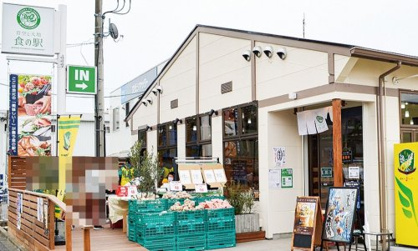青空と大地 食の市の画像1