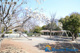 一本松公園の画像