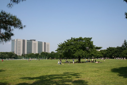 都立武蔵野中央公園の画像1