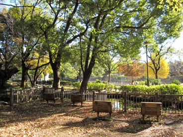 戸山公園の画像1