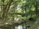 林試の森公園の画像