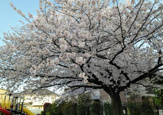 春日公園