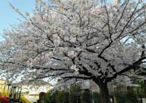 春日公園