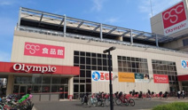 Olympic(オリンピック) 本羽田店