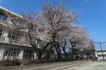 藤沢市立長後中学校の画像1