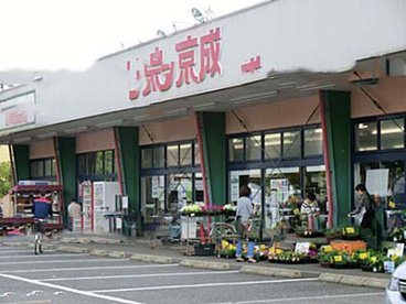 リブレ京成の画像1