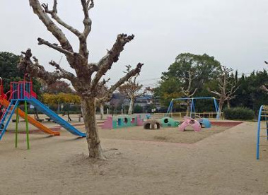 市場池公園の画像1