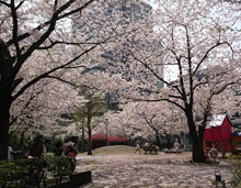 港南三丁目遊び場