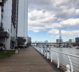 京浜運河緑地の画像1