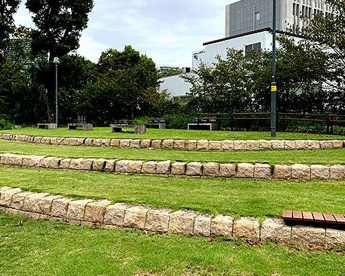港南公園Ｃ面の画像1