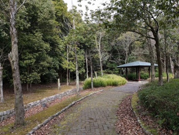 月が丘公園の画像1