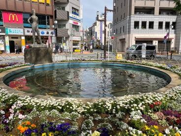ときわ台(東京都)の画像2