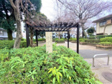 武蔵野市立すずかけ公園