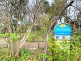 木の花小路公園