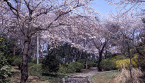 平山城址公園