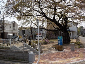 八幡町いこいの広場の画像1