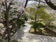 朝日ヶ丘北公園の画像