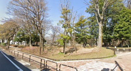 文庫の森の画像1